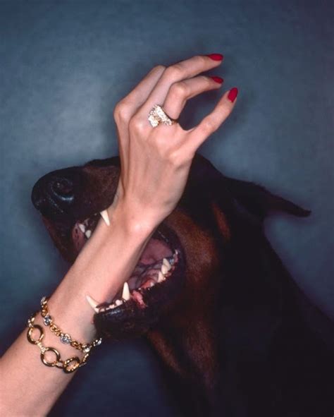 fetching is your dior campaign|Fetching Is Your Dior: Christian Dior Ad With Lisa Taylor by Chris .